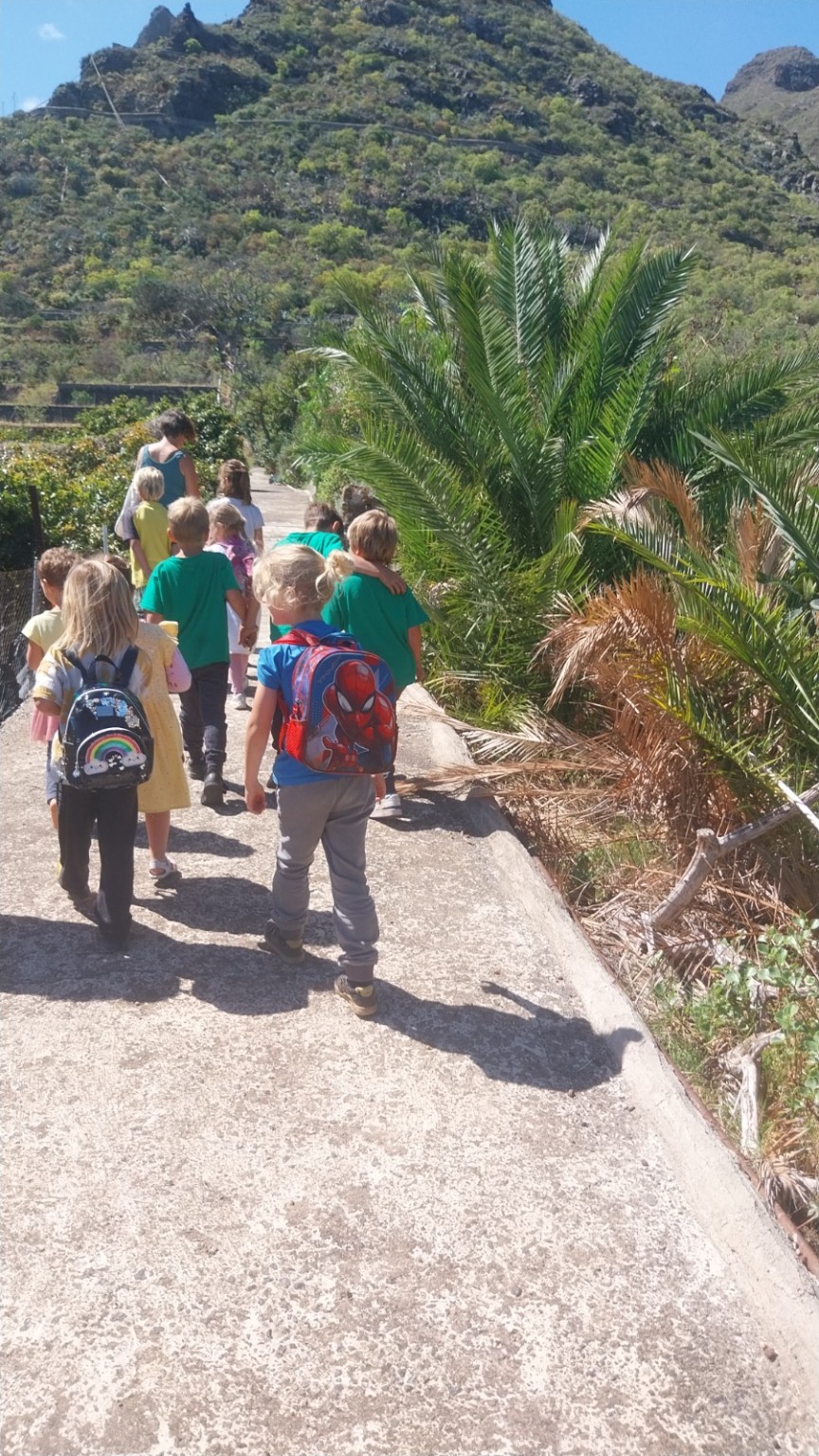 Grupo infantil caminando de espaldas en la naturaleza