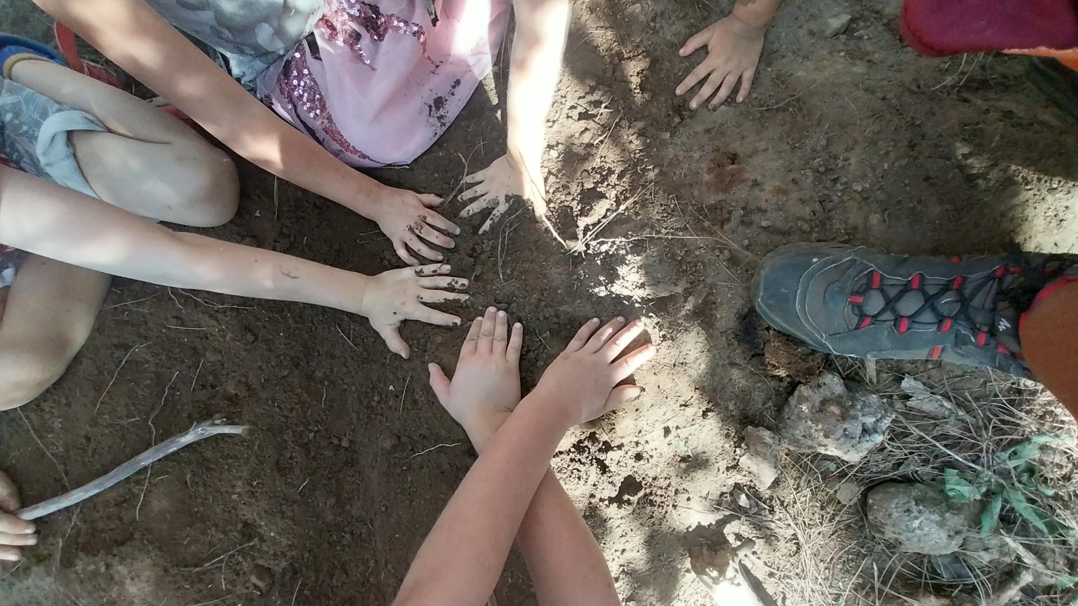 Manos de niños conectando con la tierra