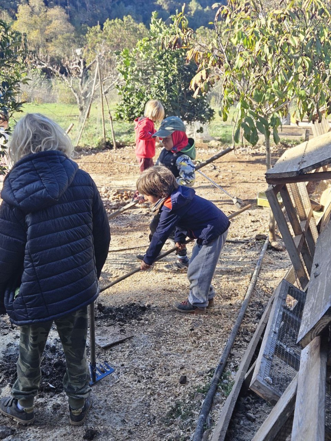 Niños trabajando juntos en el huerto vistos desde atrás