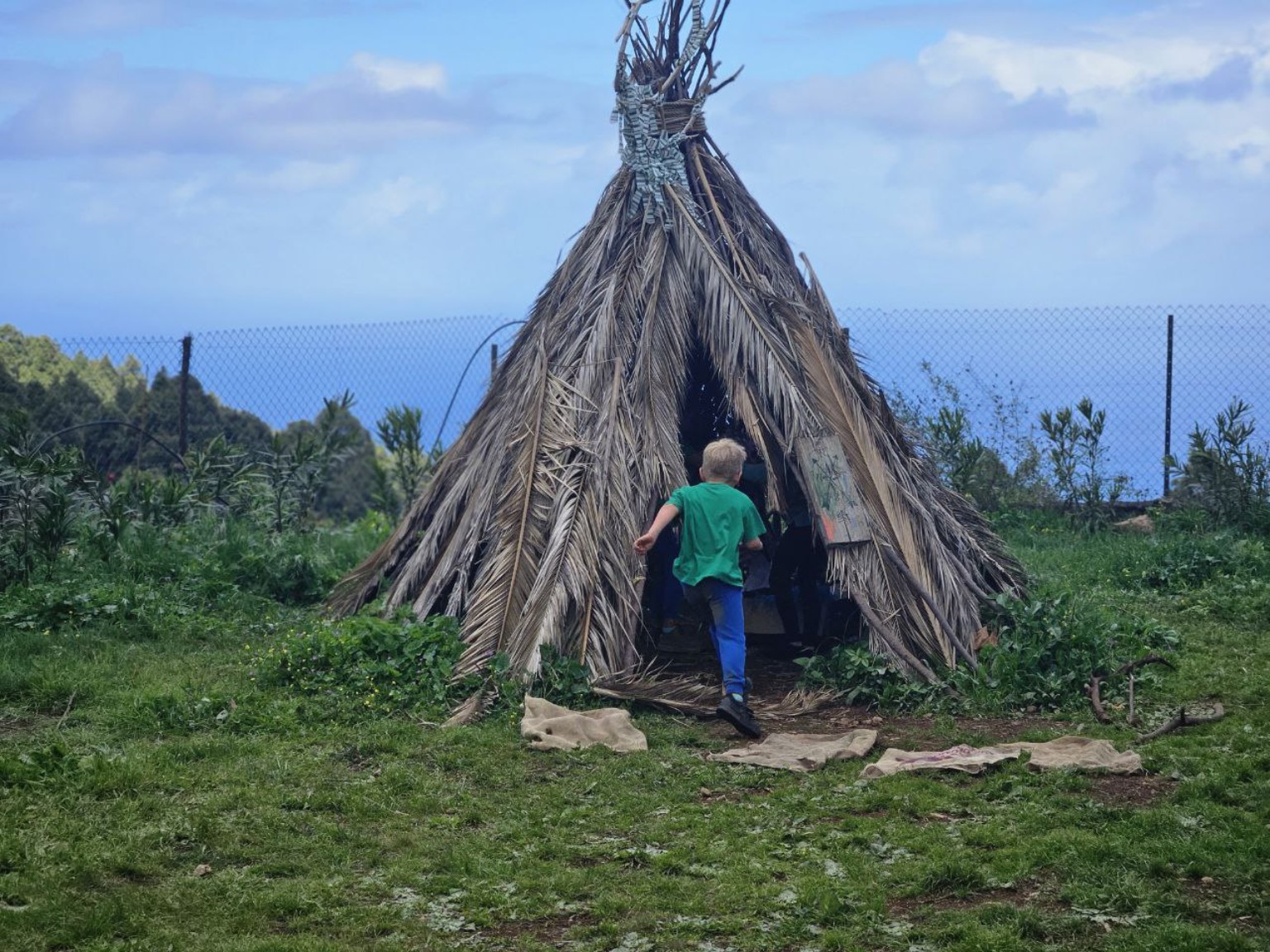 Refugio natural construido con ramas en el huerto