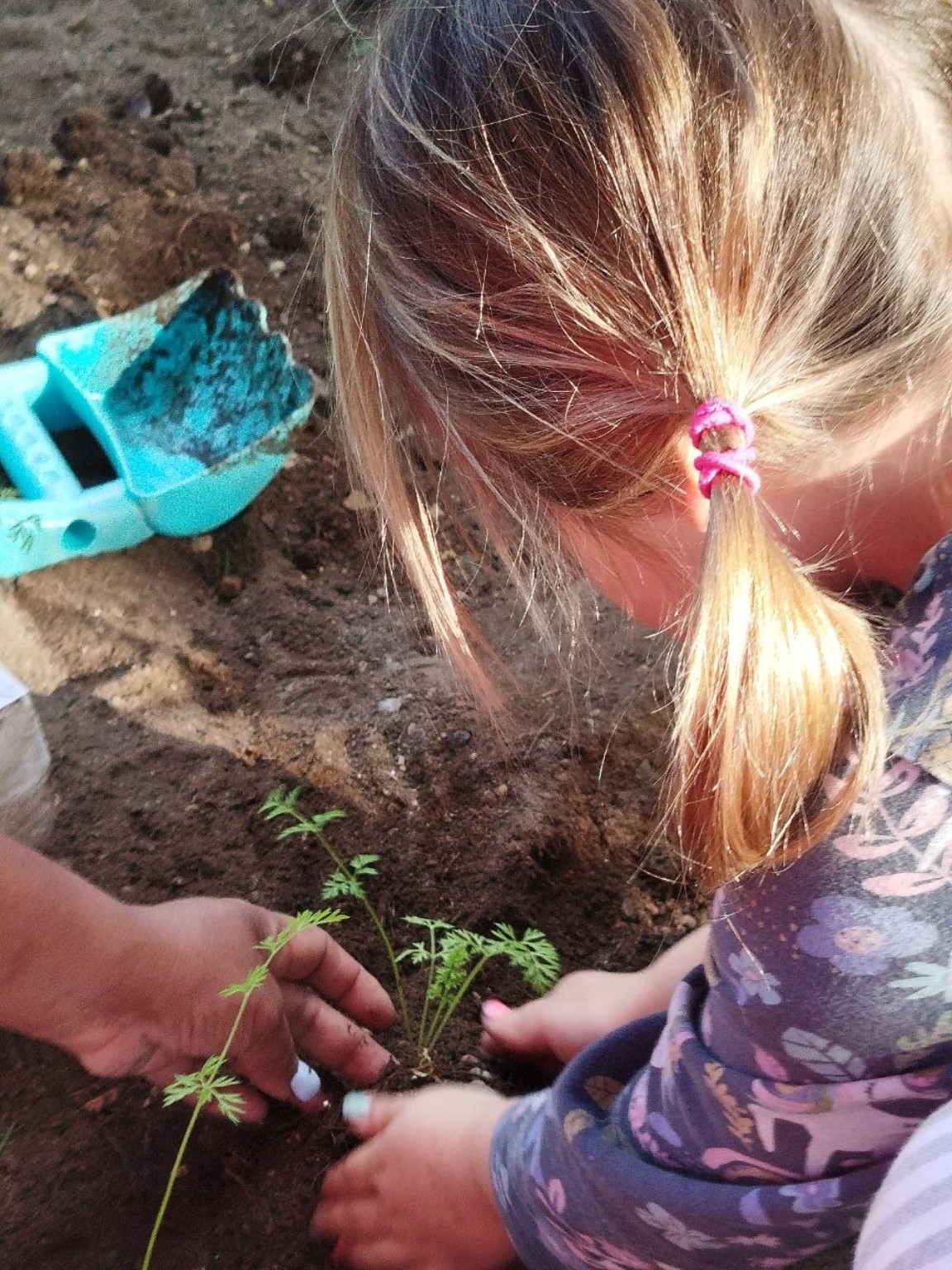 Niña vista desde atrás cuidando una planta