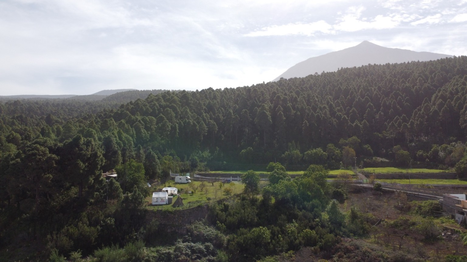 Paisaje de pinar y montaña junto a Aula Verde