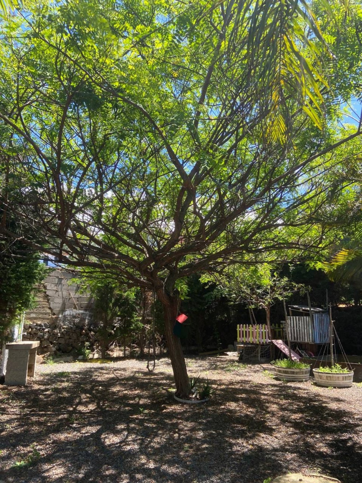 Árbol y zona natural de juego